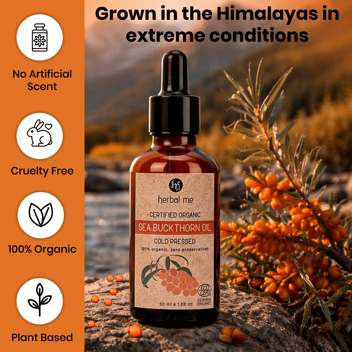 Organic Seabuckthorn Oil