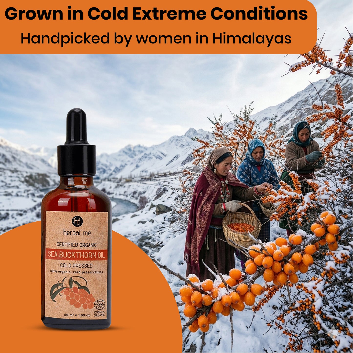 Organic Seabuckthorn Oil